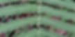20260405_131932_edited_edited.jpg