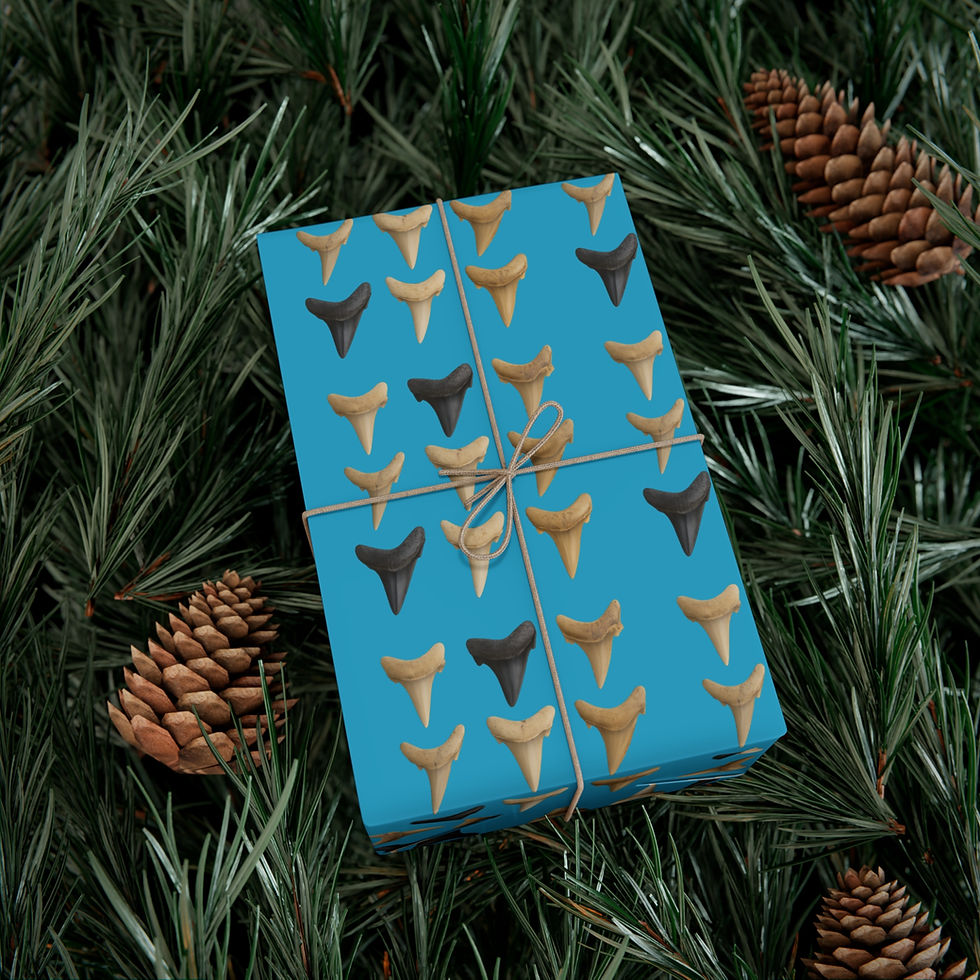 Thumbnail: Wrapped gift with shark teeth pattern and blue background amid pine needles.
