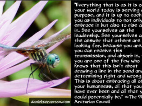 The Leadership & Answers You’ve Been Asking For ∞9D Arcturian Council | Daniel Scranton