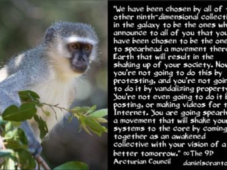 You Were Chosen Before You Were Born ∞The 9D Arcturian Council | Daniel Scranton