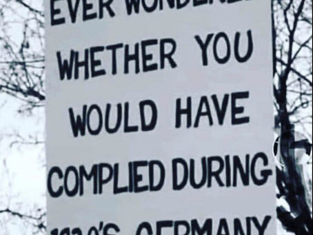 In Hindsight: Ask Yourself, Would You Have Complied in 1930s Nazi Germany?