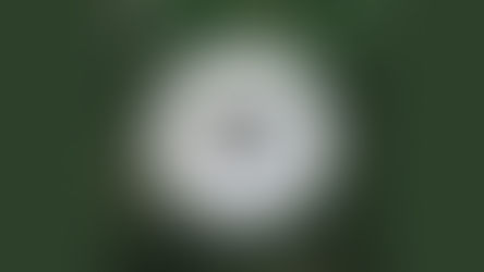 Nightlite | Bonobo, featuring Bajka (Song)
