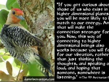 How to Connect with the 9D Arcturian Council ∞The 9D Arcturian Council | Daniel Scranton