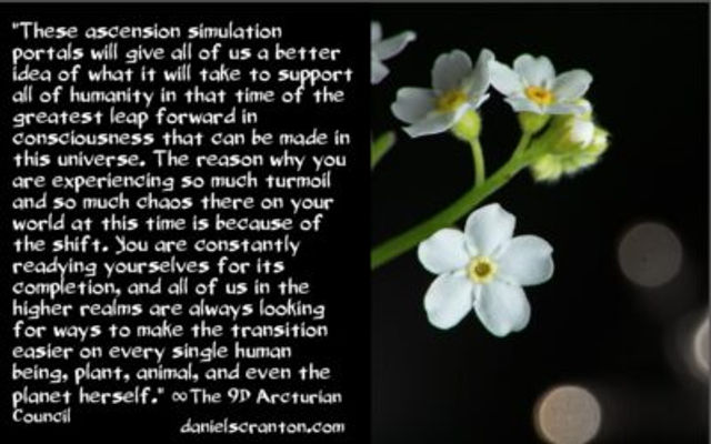 Custom alt text