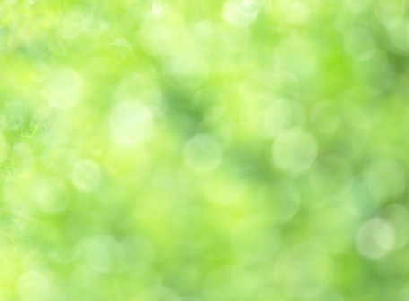 AdobeStock_293709629.jpeg