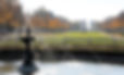 maisons laffitte parc.jpg