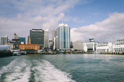 A Bay in Auckland
