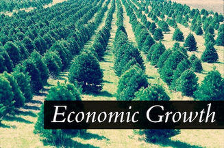 Wood You Believe It: How Bureaucrats Are Splintering Economic Growth in Arkansas