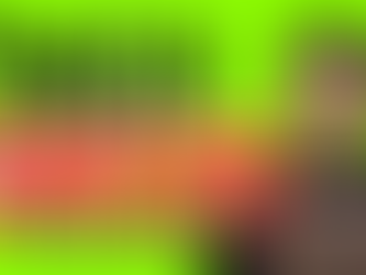 2025 Wrapped: Wix Edition