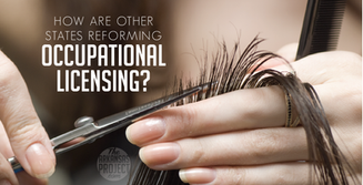 How are Other States Reforming Occupational Licensing?