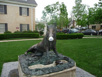 Your Swine Flu Has Arrived, Arkansas! (Updated!)