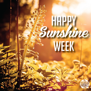 The Lessons Of Sunshine Week