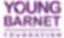 YBF final logo pms 2613 - Jpeg.avif