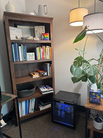 Bookshelf with books and a plant in Lisa Stoll's therapy office