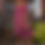 Thumbnail: The Marigold  Dress