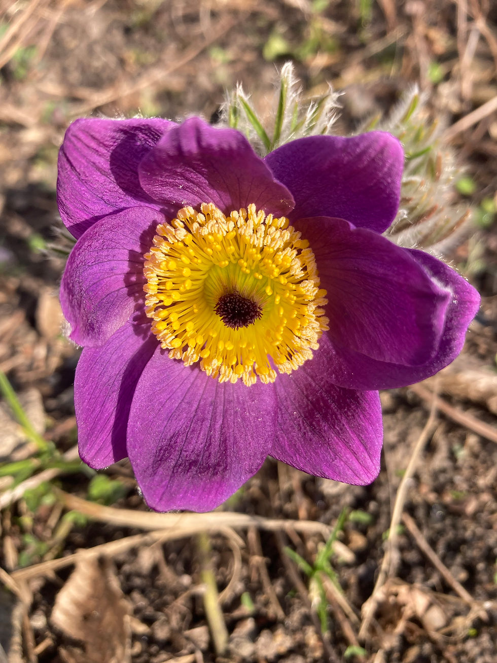 Was wäre, wenn du deinem eigenen Wert folgst und ihn dabei entdeckst?
