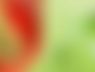 Gallstones and Epigastric Pain: An Informative Guide