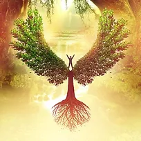 ancrage-spirituel.webp