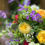 Thumbnail: Flora (Florist's Choice)