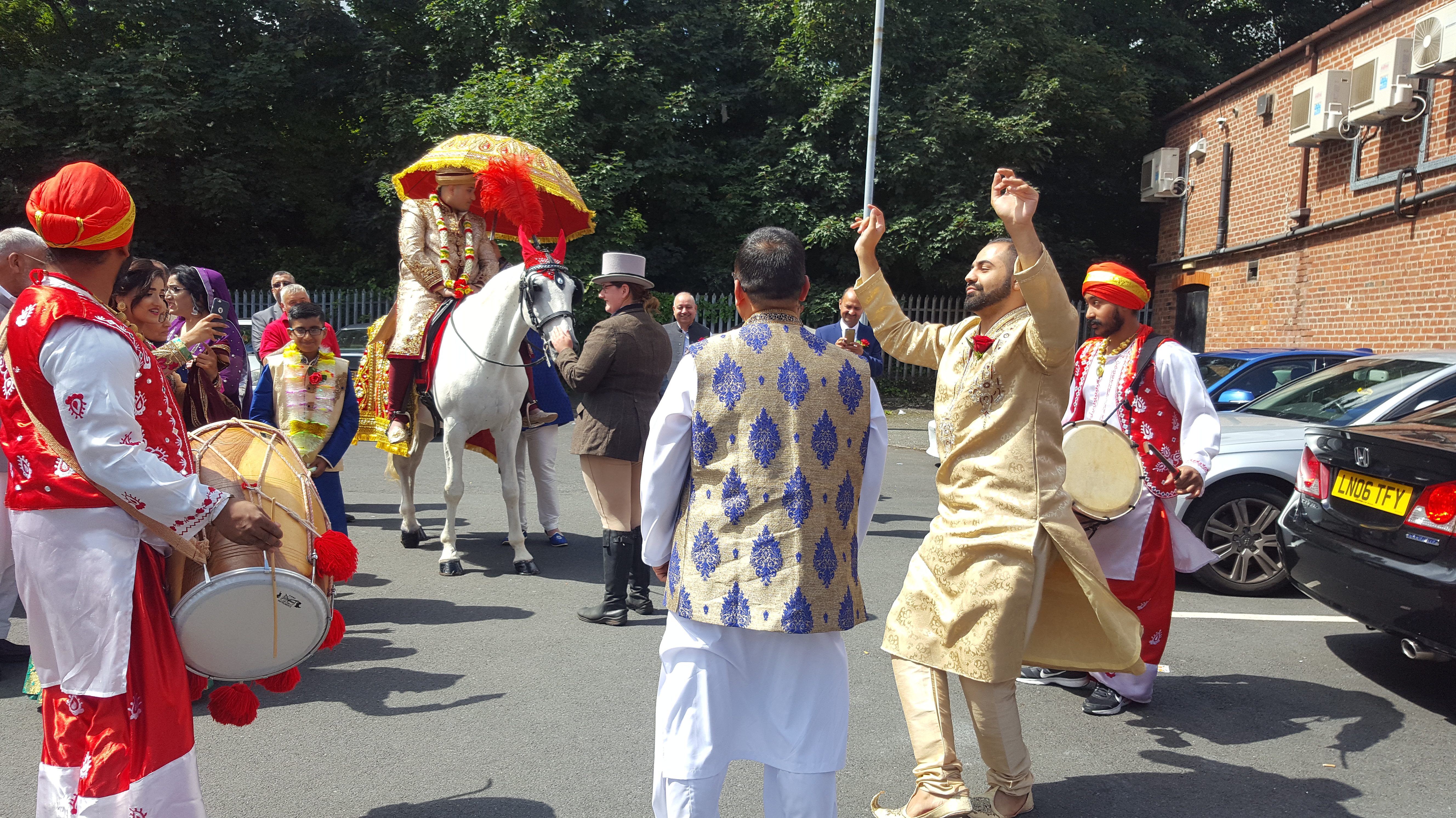 Indian Wedding Horse