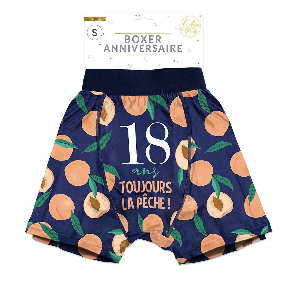 Miniature : Boxer 18 ans