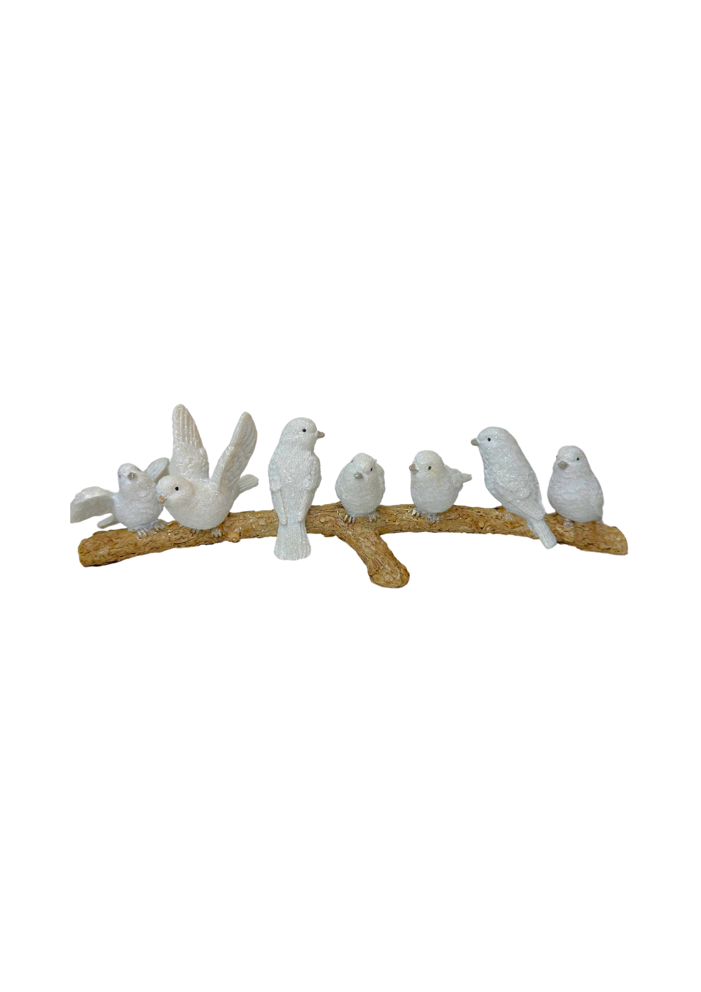 Oiseaux sur branche