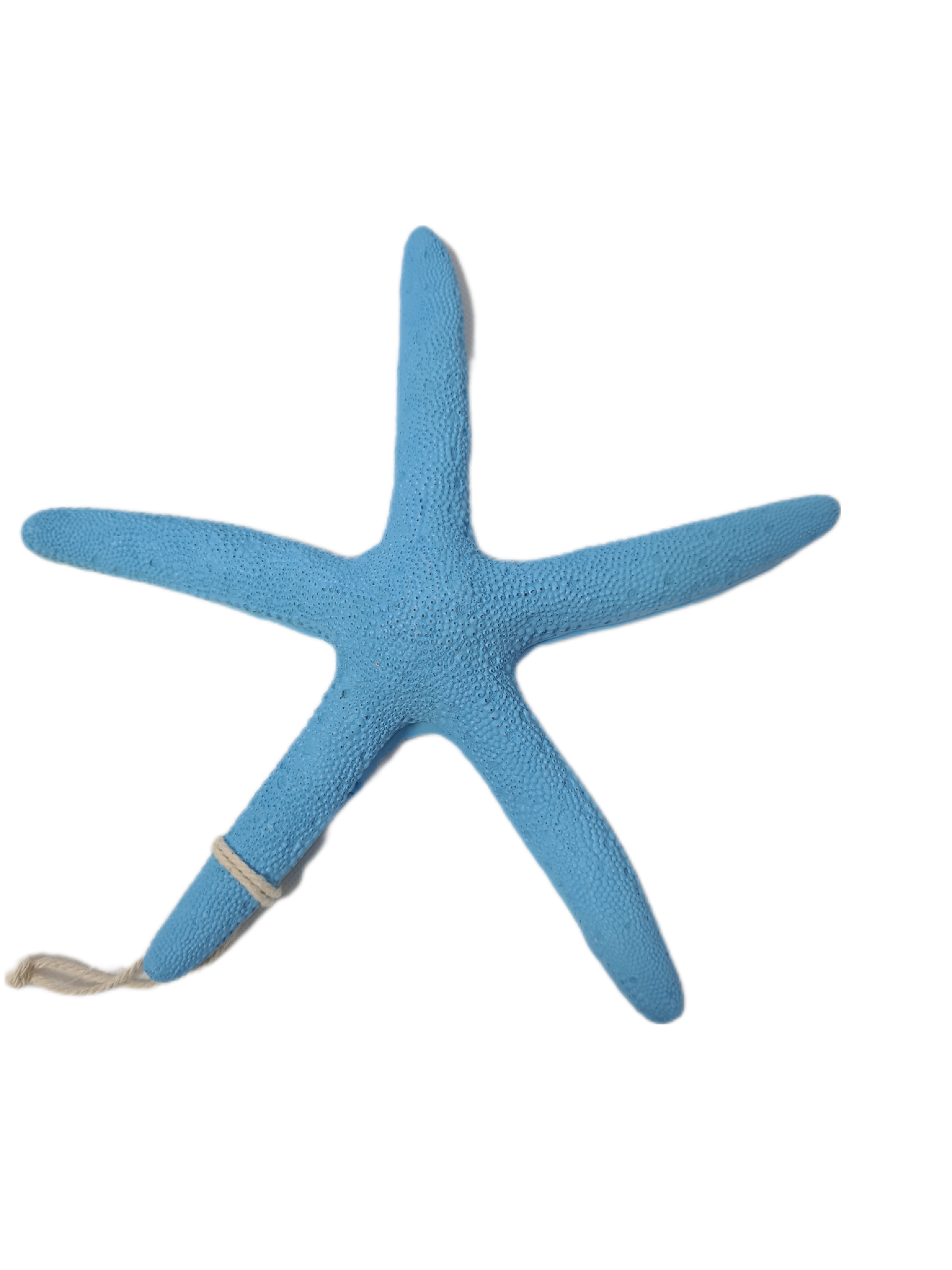 Etoile de Mer 25cm