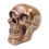 Miniature : Crâne Cuivré résine