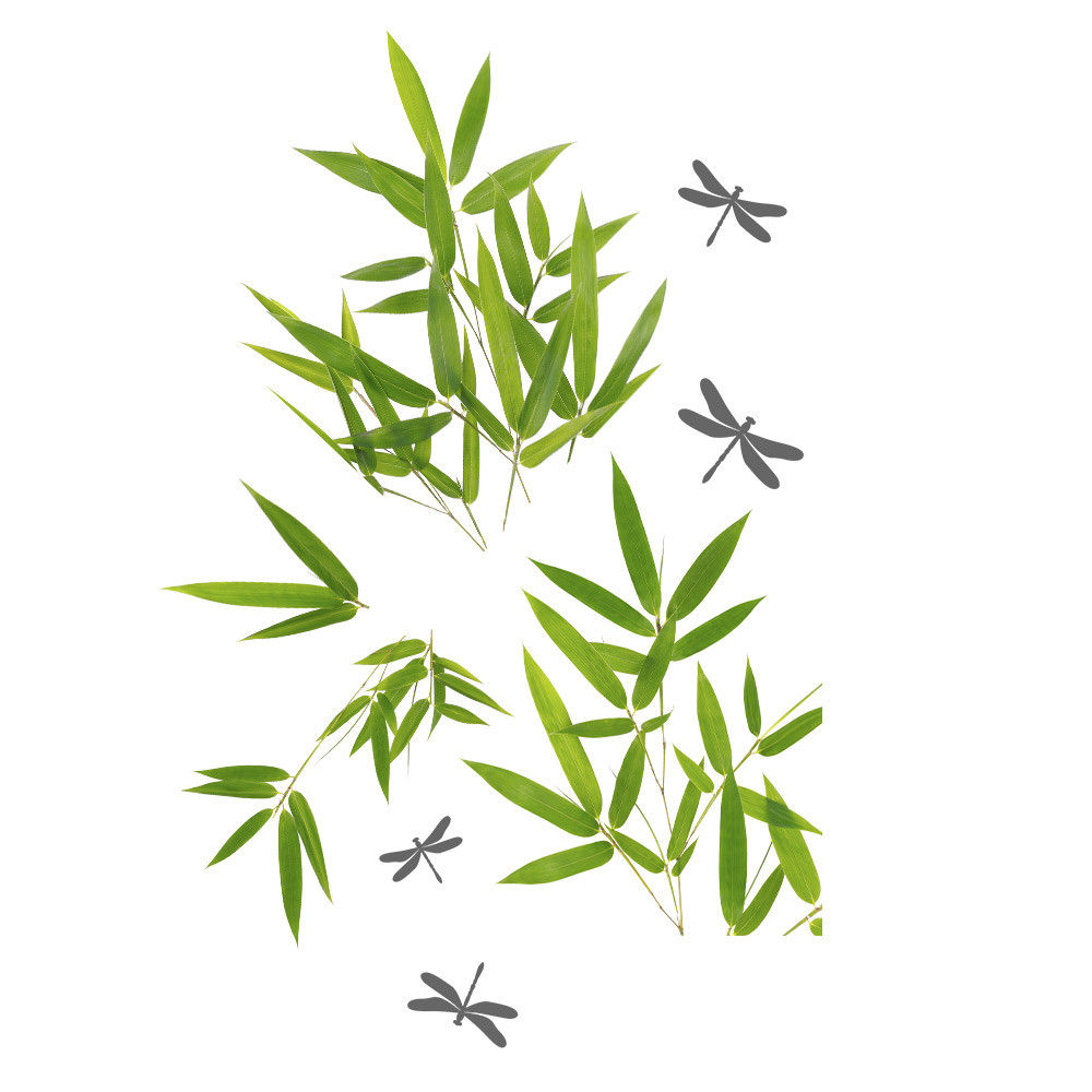 Stickers de Vitre Feuille Bambou