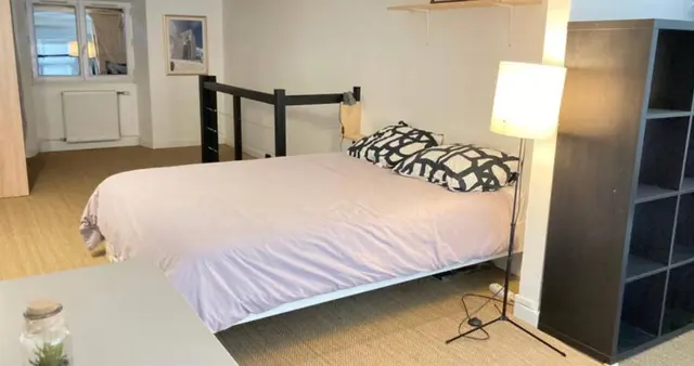 Appartement à Grenoble, photographie 4