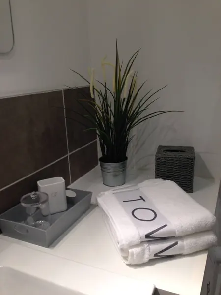 Appartement à Grenoble, photographie 5