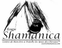 Logo Écurie Shamanica Through the Horses