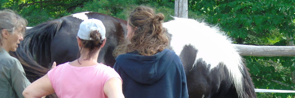 Atelier Exprimes ton pouvoir féminin-ecurieshamanica.com