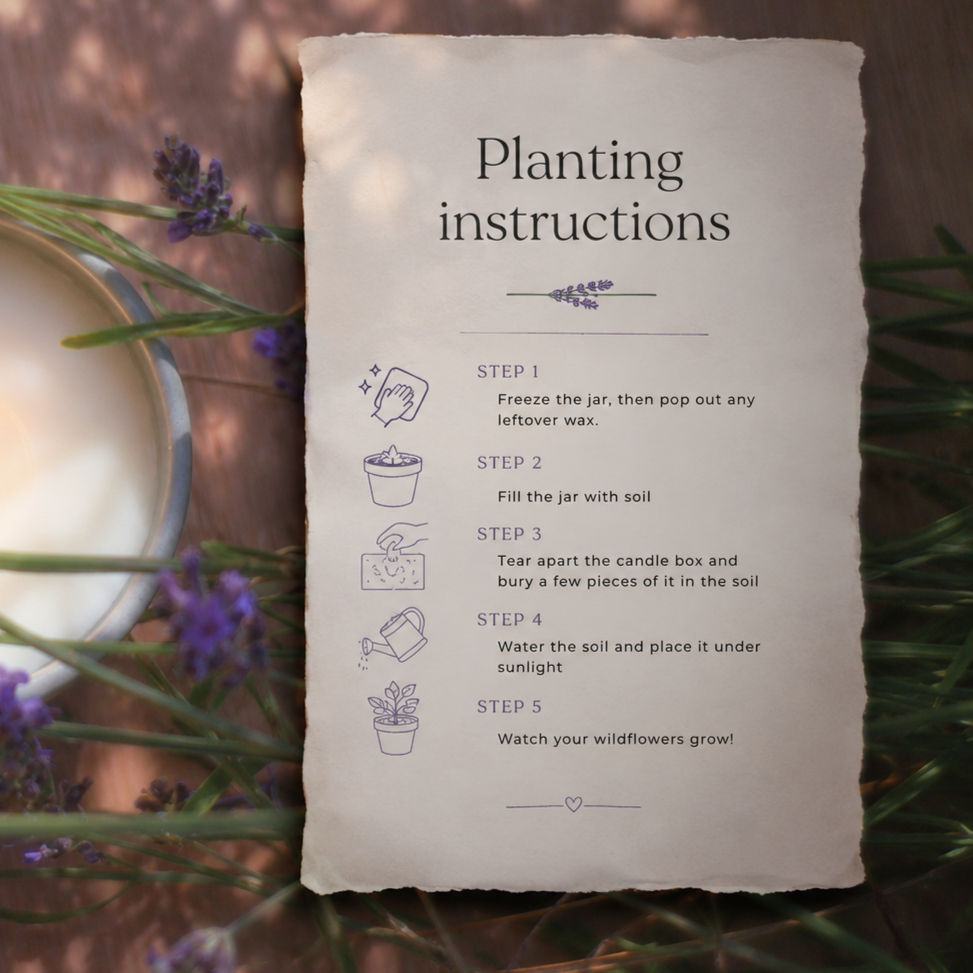 Thumbnail: Plantable Deep Sleep Candle - 180g