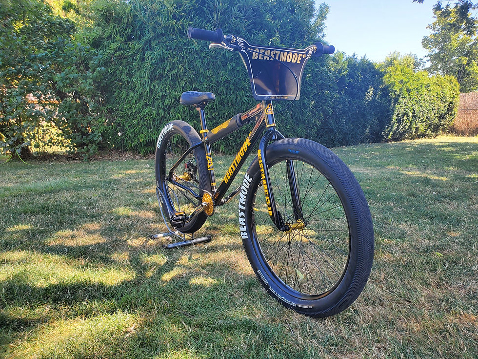 SE Racing Beast Mode Ripper BMX Bike