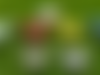 Why Kids’ Glasses Keep Slipping (And Our GRYP That Solves It)