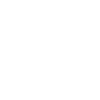 Icon_Web2.gif