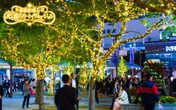 海浜幕張駅前イルミネーションオーナメント