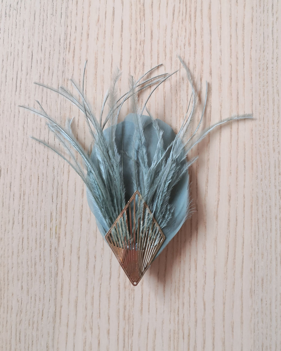 Miniature : Autruche 