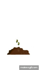 55QTF1.gif
