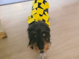 ganz schön sinnvoll 