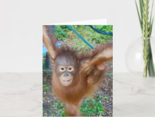 Top 10! Cheerleader : Team Orangutan Card