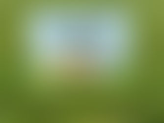 Best Price! Peanuts | Charlie Brown and Gang Birthday Sign