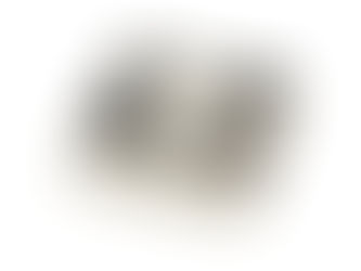 Top 5! Tropical Dream Rubber Stamp