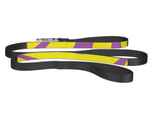 Big Deals! Yellow Pet Leash With Purple Stripes