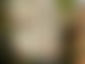 Review Floral French Vintage Rose Ephemera Decoupage Tissue Paper