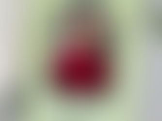 Big Deals! Photo Arch Goodbye Farewell Party Invitation