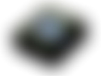 Top 10! Forget-me-not forever and ever! keepsake box