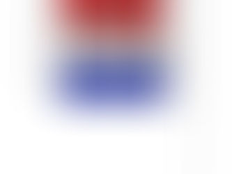 Top 10! FJB CAR FLAG