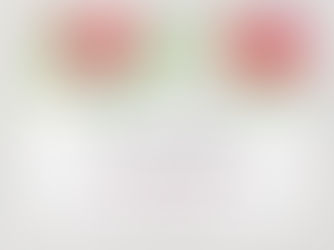 Best Deals! real estate BLOOM referrals Announcement Postcard